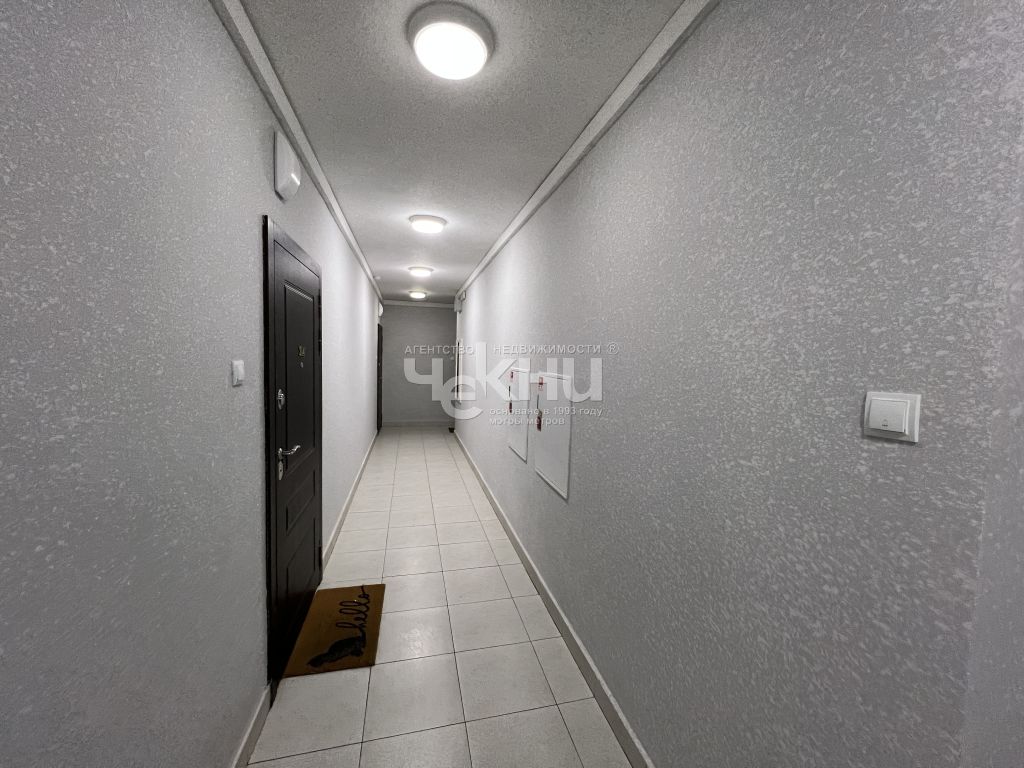 Продажа 1-комнатной квартиры, Анкудиновка, Русская ул,  9