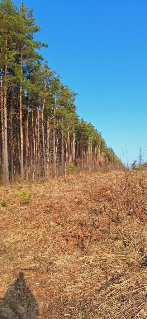 Продажа дачи, 30м <sup>2</sup>, 6 сот., Заволжье, Рождественская ул