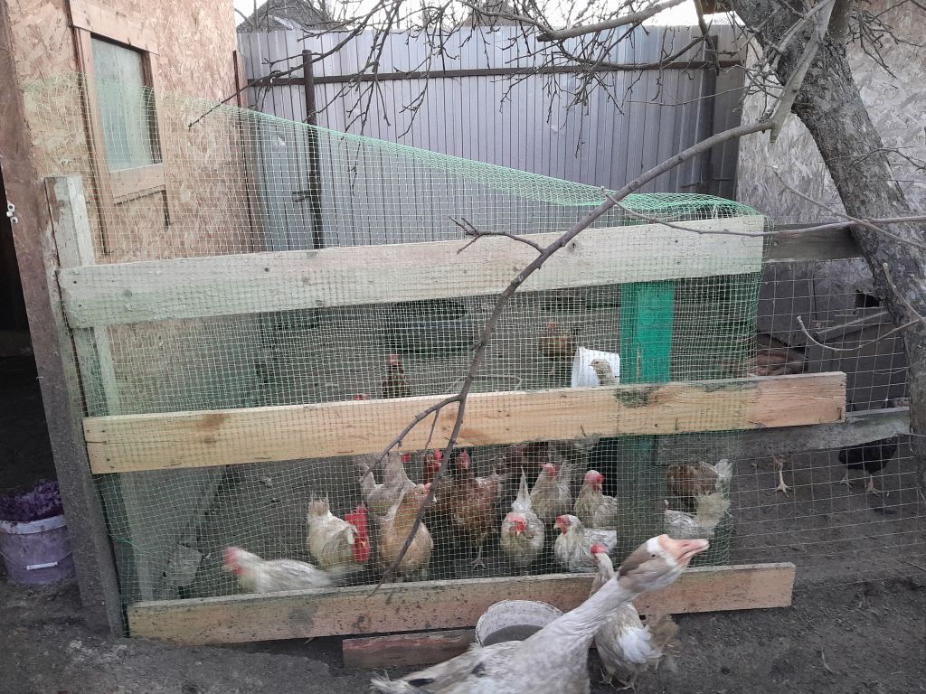 Продажа дома, 62м <sup>2</sup>, 6 сот., Кохма, Красина ул,  3а