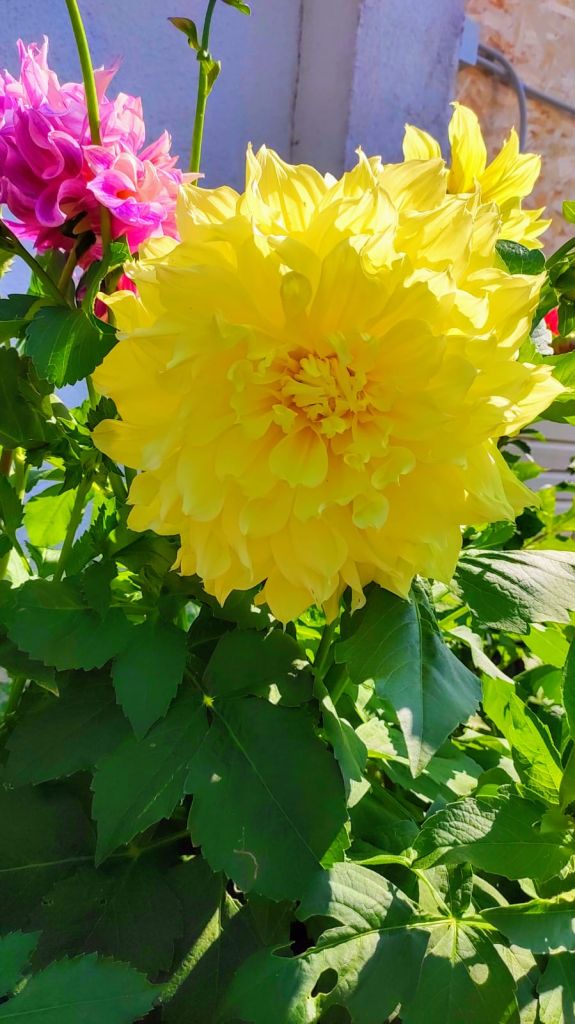 Продажа дома, 62м <sup>2</sup>, 6 сот., Кохма, Красина ул,  3а