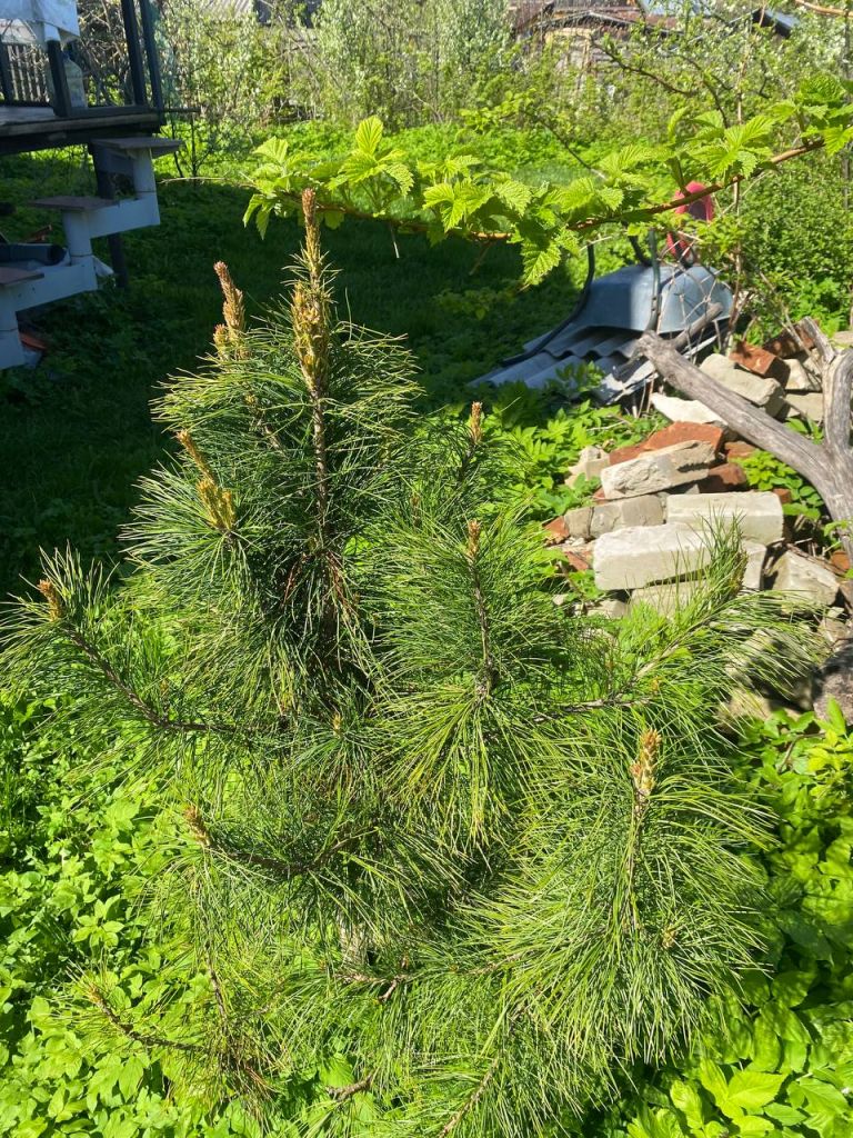 Продажа дома, 130м <sup>2</sup>, 3 сот., Кострома, Давыдовский 4-й проезд,  46