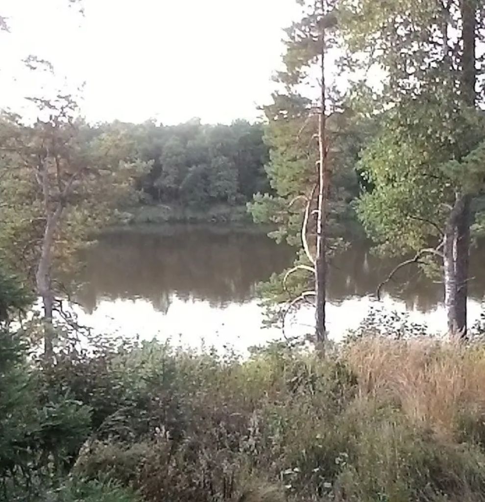 Продажа дома, 53м <sup>2</sup>, 18 сот., Пенкино