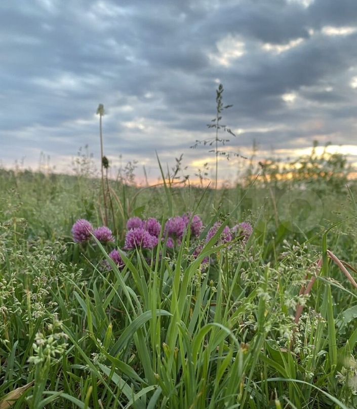 Продажа дома, 67м <sup>2</sup>, 35 сот., Кочнево