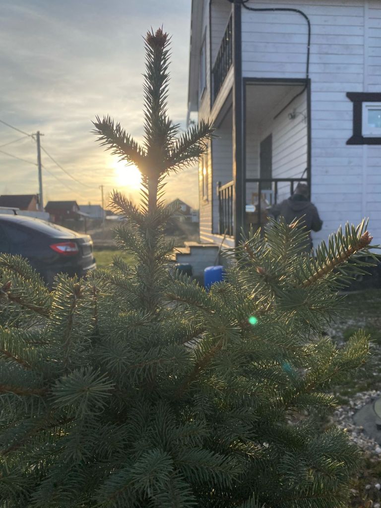 Продажа дома, 75м <sup>2</sup>, 7 сот., Веськово