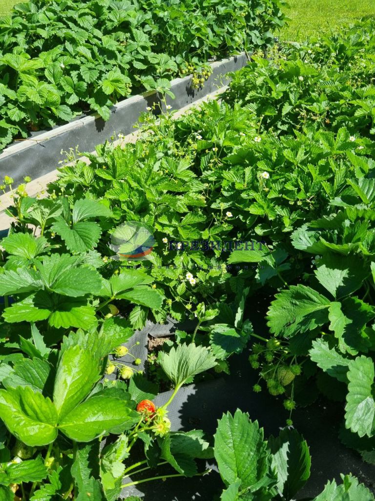 Продажа дома, 150м <sup>2</sup>, 9 сот., Доскино, Кудьминская,  95