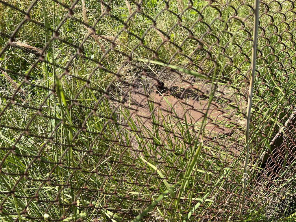 Продажа дома, 236м <sup>2</sup>, 21 сот., Коверино, Центральная