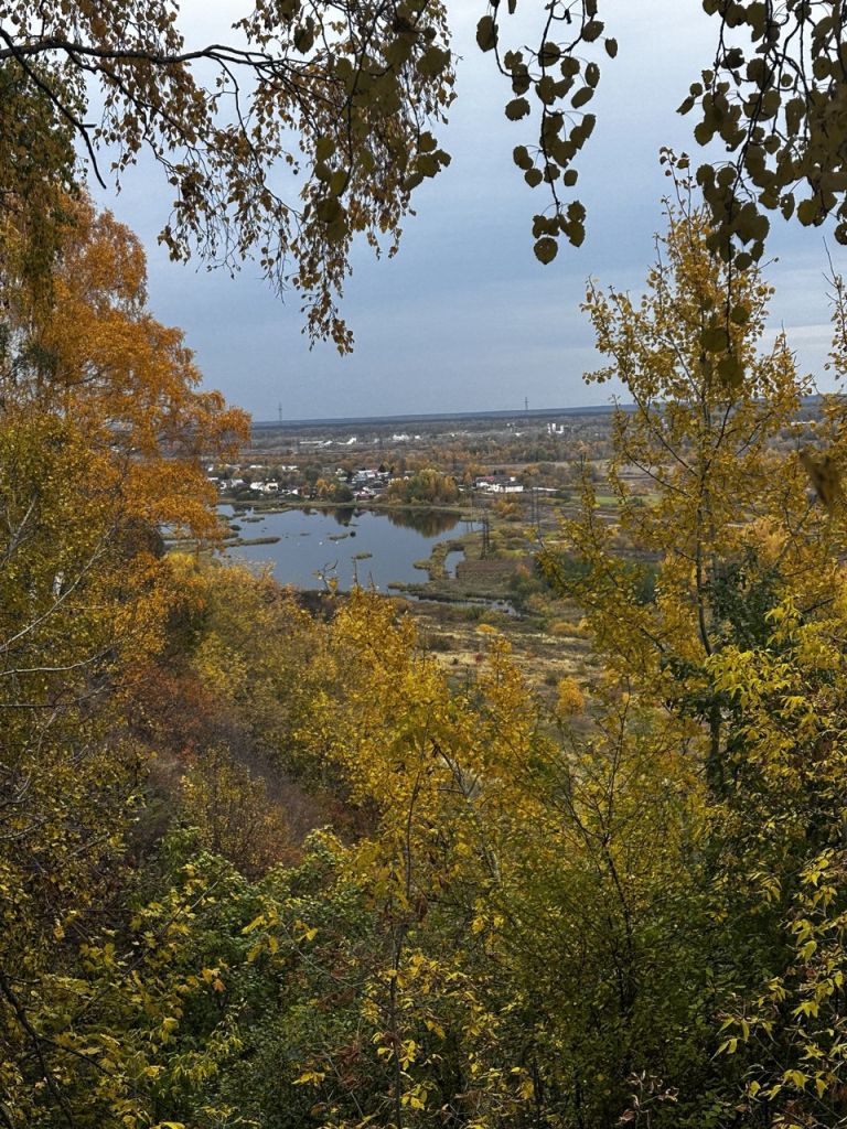 Продажа дома, 140м <sup>2</sup>, 5 сот., Афонино, Магистральная ул,  126