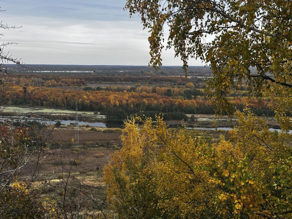 Продажа дома, 140м <sup>2</sup>, 5 сот., Афонино, Магистральная ул,  126