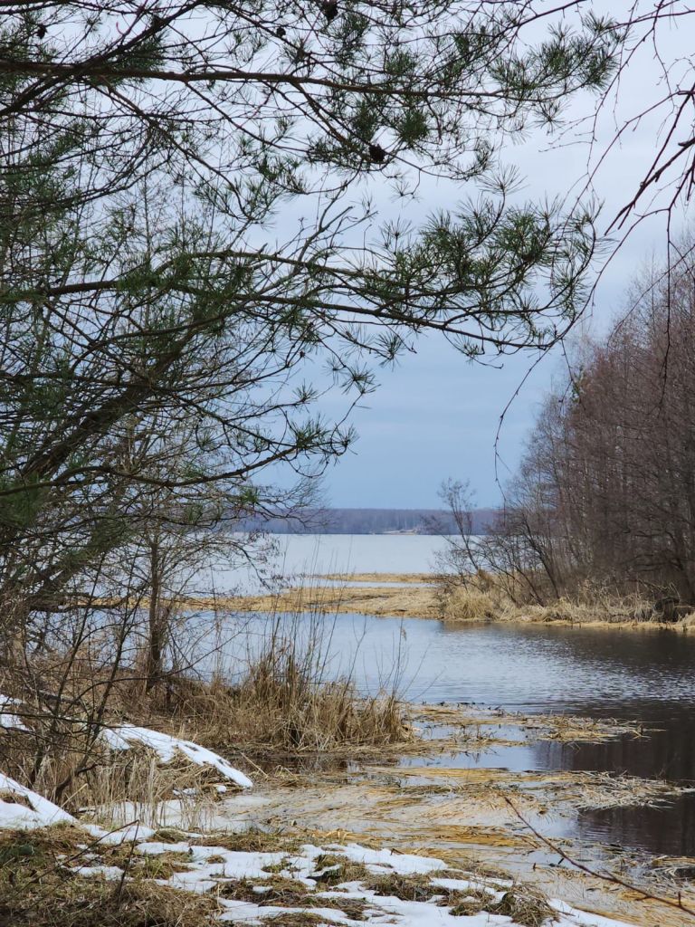 Продажа дома, 95м <sup>2</sup>, 10 сот., Митино, Лесная