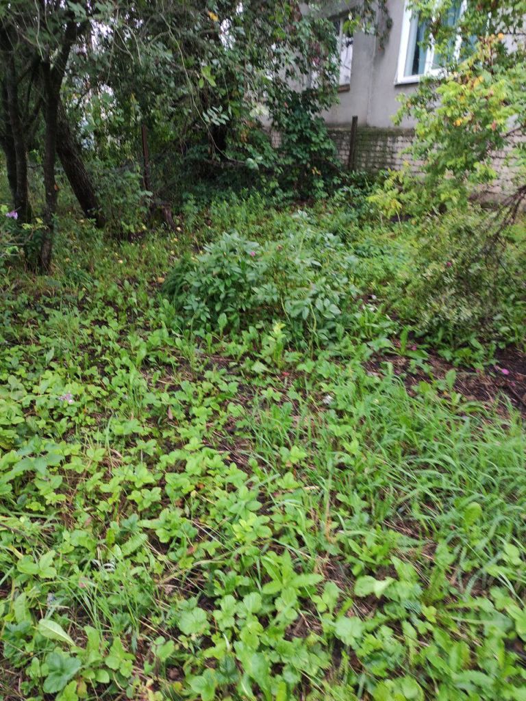 Продажа 3-комнатной квартиры, Большое Маресьево, Молодежная ,  10