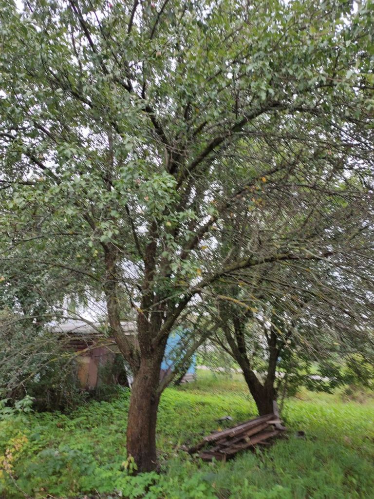 Продажа 3-комнатной квартиры, Большое Маресьево, Молодежная ,  10