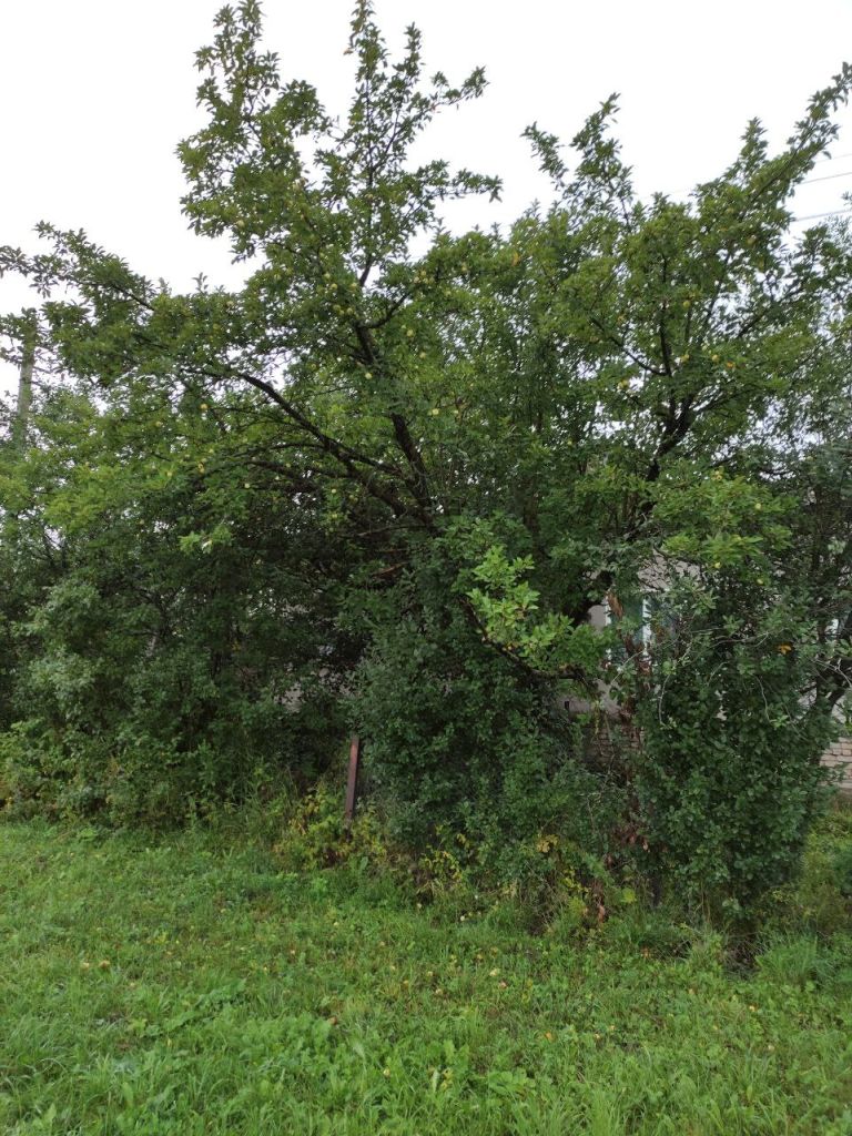 Продажа 3-комнатной квартиры, Большое Маресьево, Молодежная ,  10