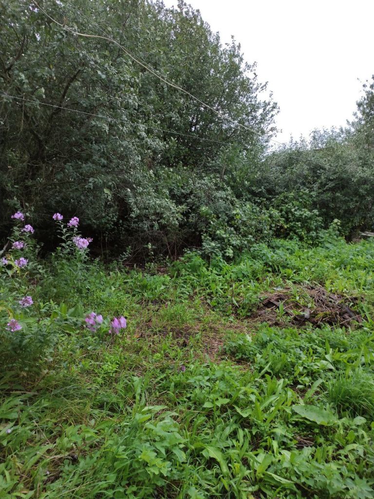 Продажа 3-комнатной квартиры, Большое Маресьево, Молодежная ,  10