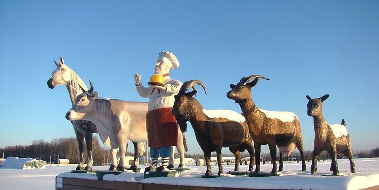 Продажа дома, 68м <sup>2</sup>, 14 сот., Нижегородская,  21