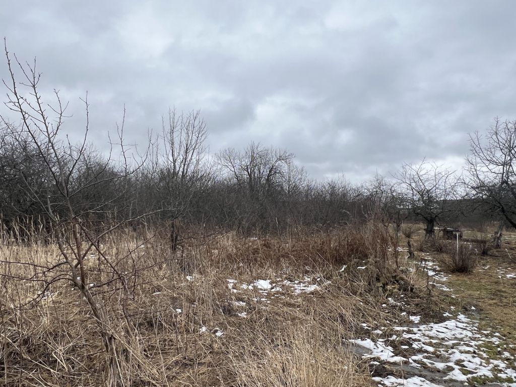 Продажа участка, Степаново