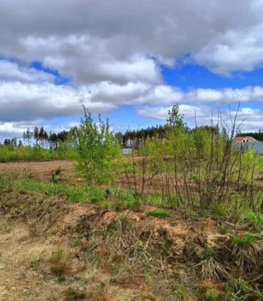 Продажа участка, Пыра