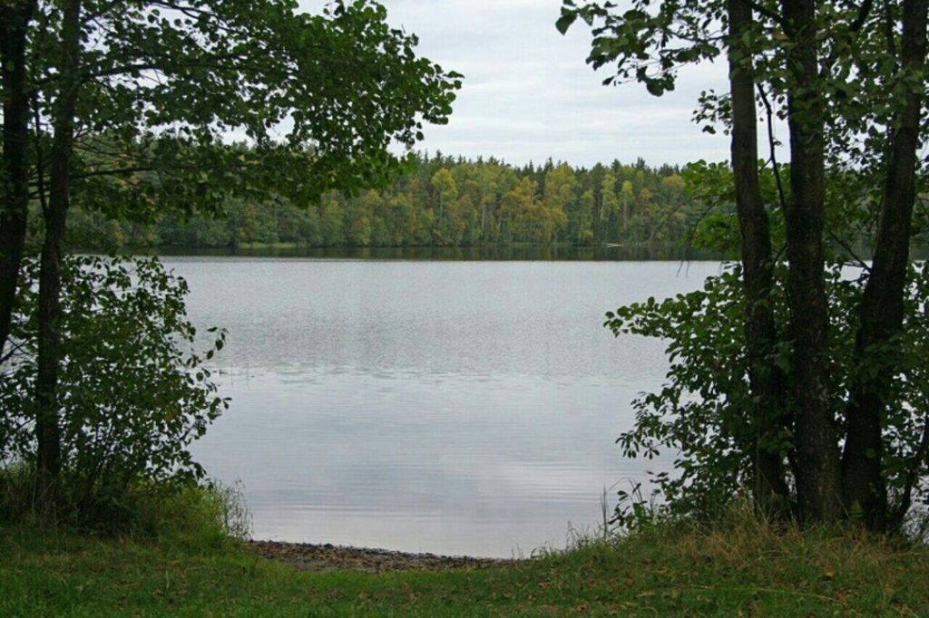 Продажа участка, Красный Остров,  37:09:010823:230