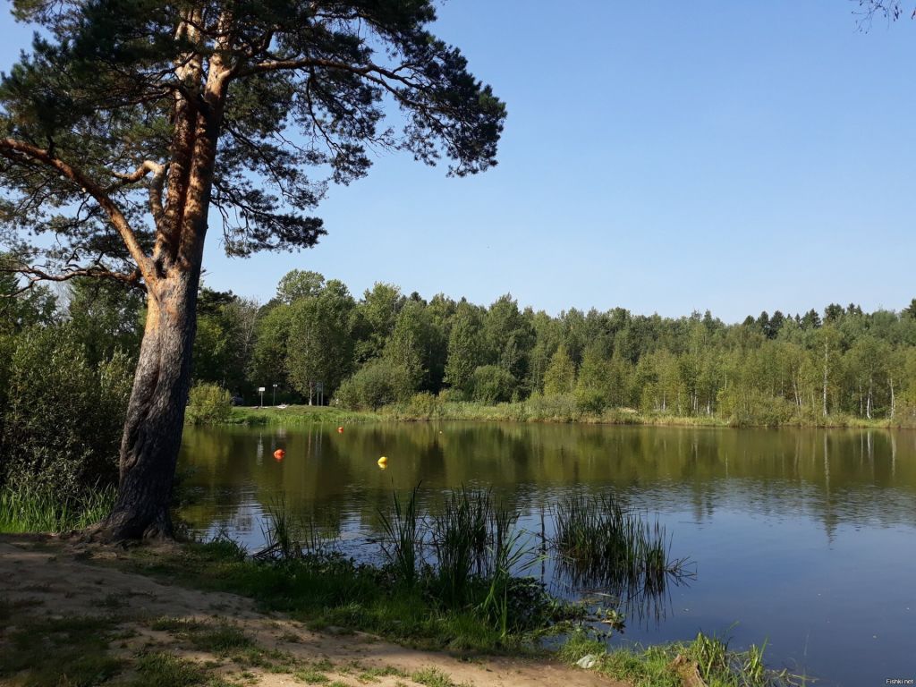 Продажа участка, Красный Остров,  37:09:010823:230