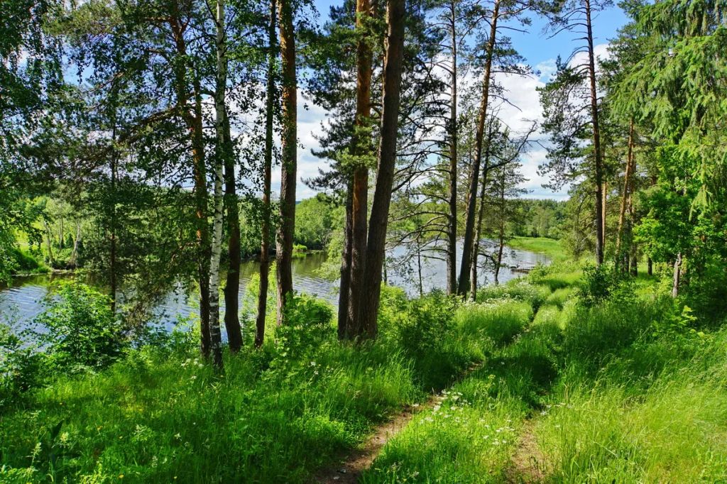 Продажа участка, Красный Остров,  37:09:010823:230