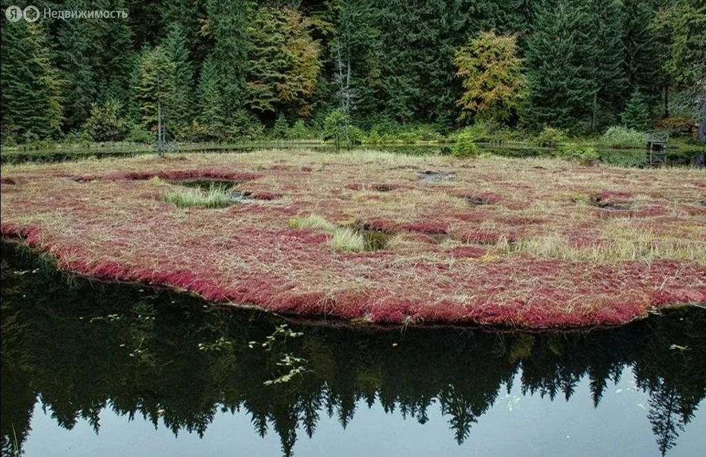 Продажа участка, Красный Остров,  37:09:010823:230