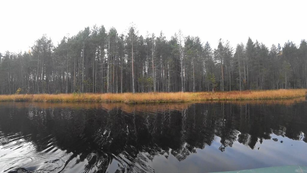 Продажа участка, Красный Остров,  37:09:010823:230