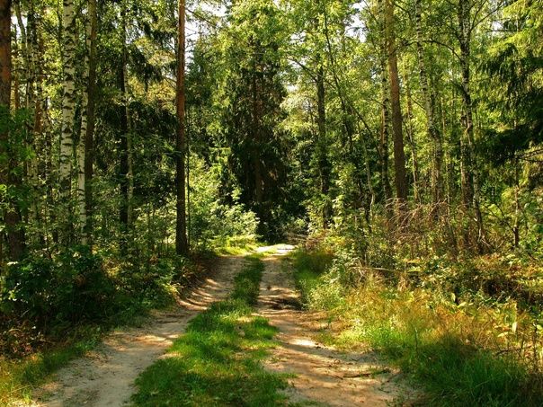 Продажа участка, Красный Остров,  37:09:010823:230