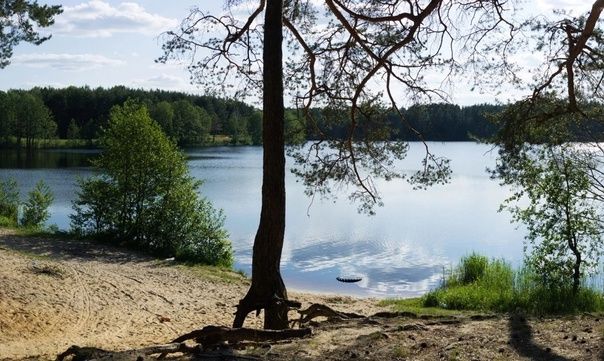 Продажа участка, Красный Остров,  37:09:010823:230