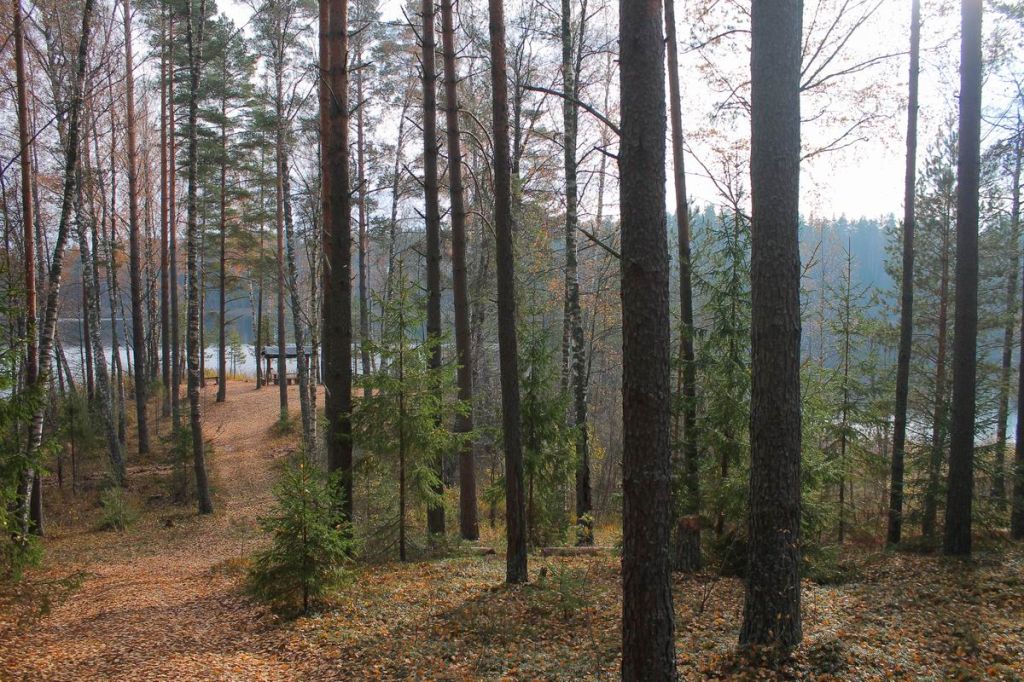 Продажа участка, Красный Остров,  37:09:010823:230