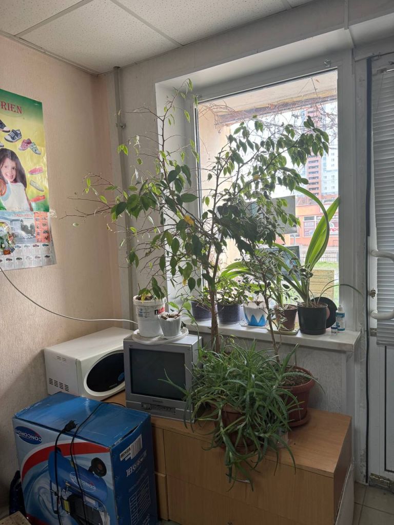 Продажа коммерческой недвижимости, 32м <sup>2</sup>, Дзержинск, Космонавтов б-р,  3