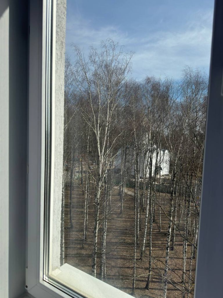 Продажа 3-комнатной квартиры, Нижний Новгород, Анкудиновское шоссе,  11б