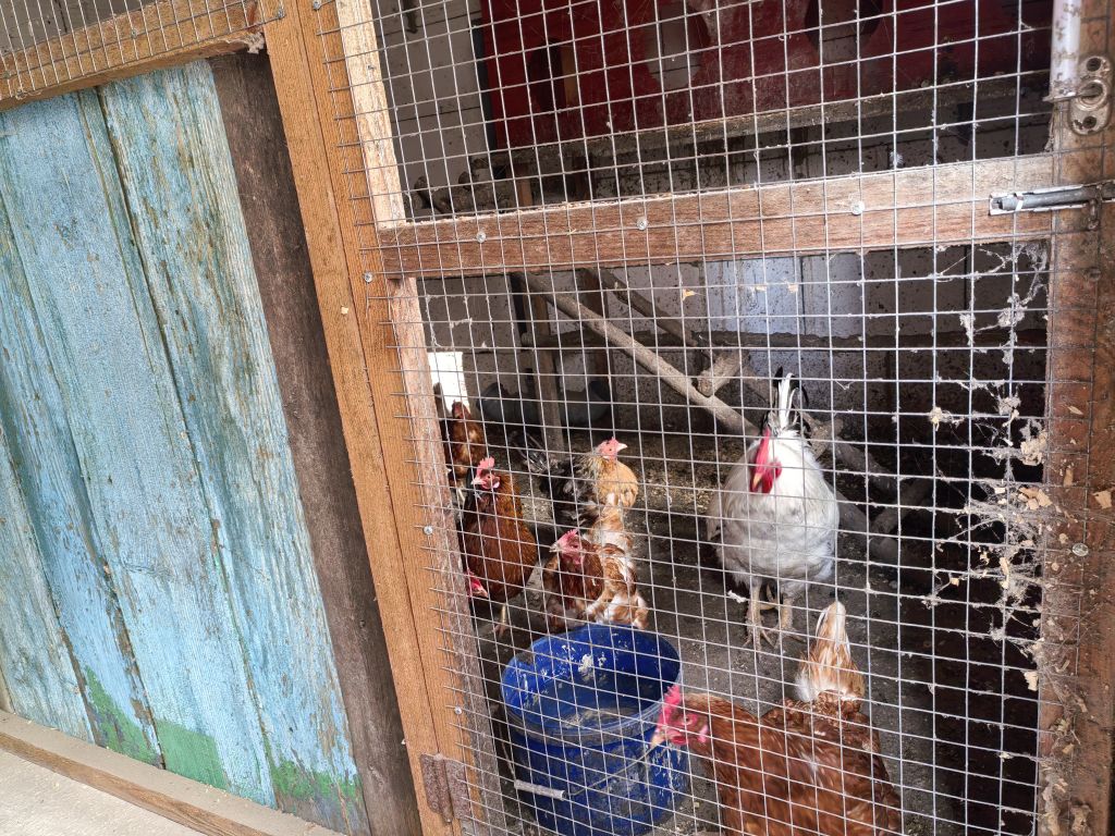 Продажа дома, 80м <sup>2</sup>, 7 сот., Лунино, Западная,  2