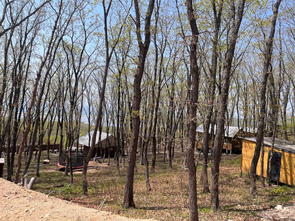 Продажа участка, Ливадия, Березовая ул