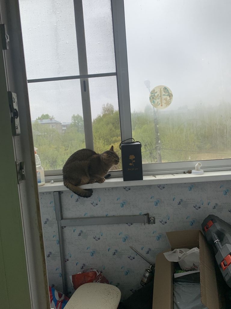 Продажа 3-комнатной квартиры, Собинка, Молодежная ул,  5