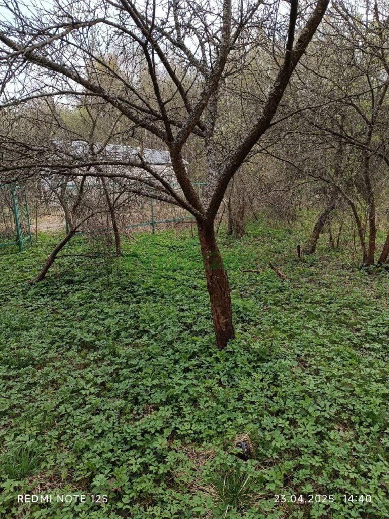 Продажа участка, Тверская,  142