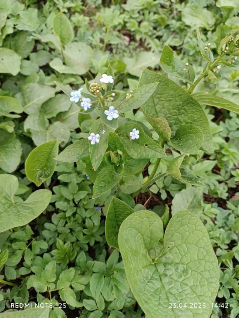 Продажа участка, Тверская,  142