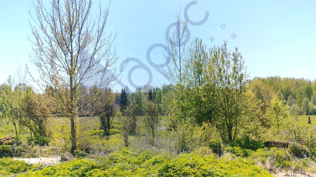 Продажа коммерческой недвижимости, 2417м <sup>2</sup>, Березово