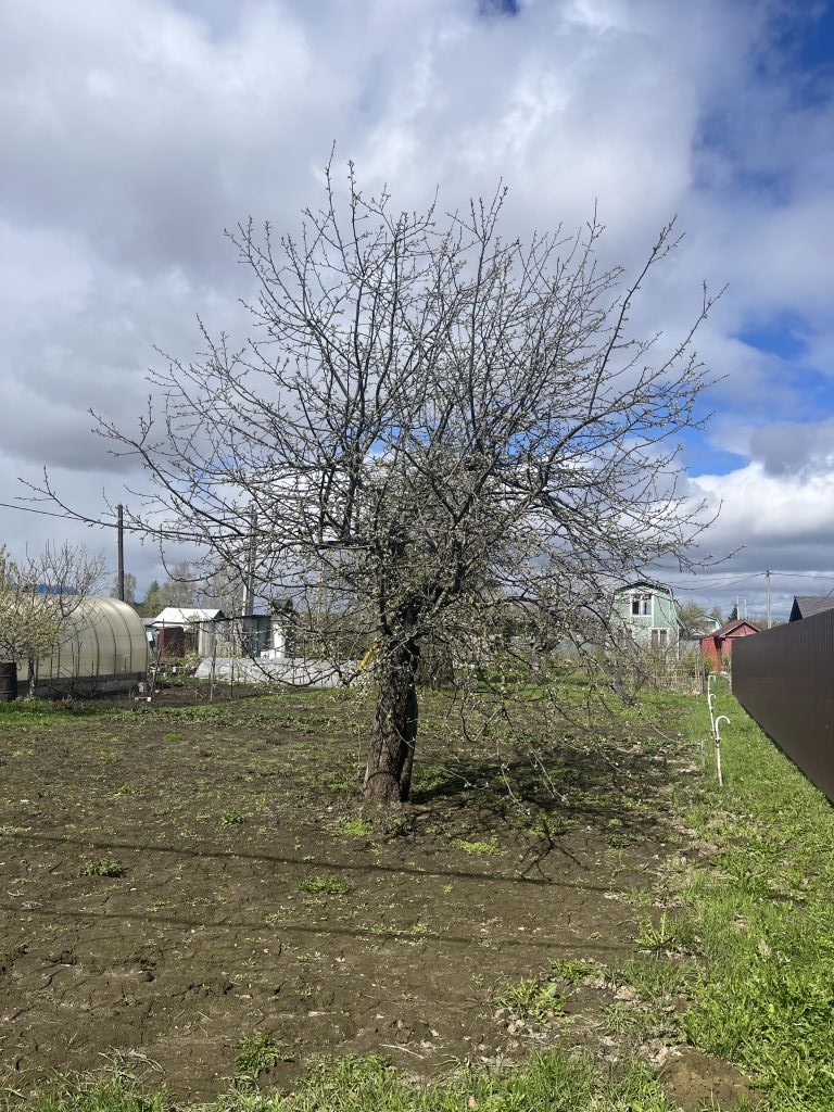 Продажа дачи, 30м <sup>2</sup>, 6 сот., Кострома, Мир (Вологодское) снт