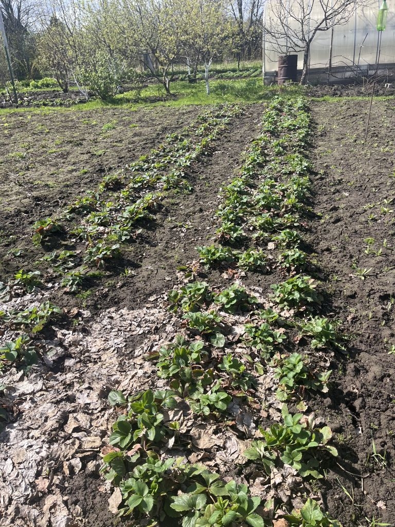 Продажа дачи, 30м <sup>2</sup>, 6 сот., Кострома, Мир (Вологодское) снт