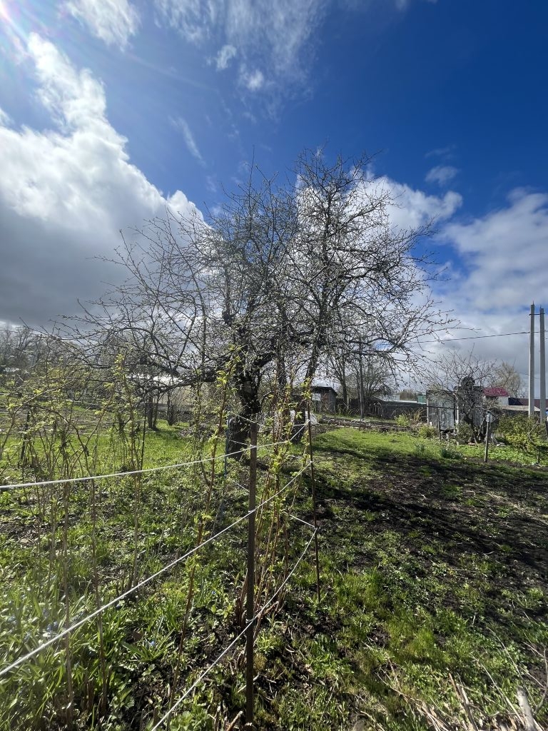 Продажа дачи, 30м <sup>2</sup>, 6 сот., Кострома, Мир (Вологодское) снт