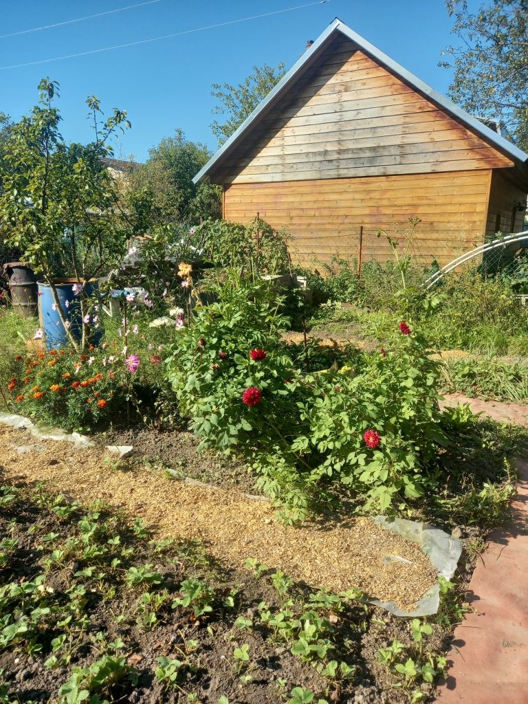 Продажа дачи, 52м <sup>2</sup>, 5 сот., Нижний Новгород, ТСН № 5 ГАЗ ,  679