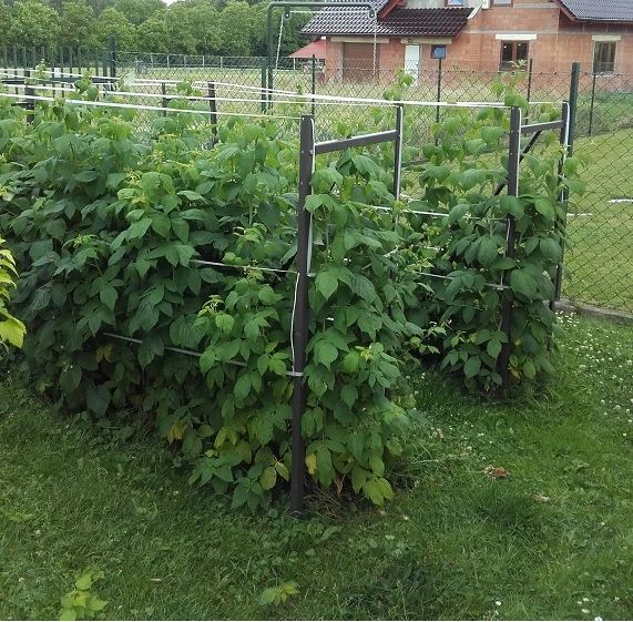 Продажа участка, Ивановская,  37:05:010328:402