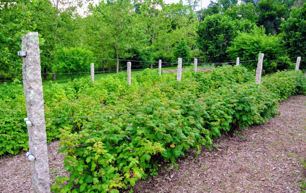 Продажа участка, Ивановская,  37:05:010328:402