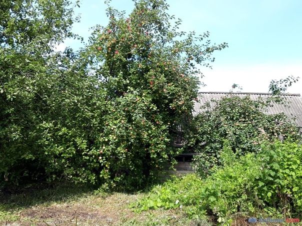 Продажа участка, Ивановская,  37:05:010328:402