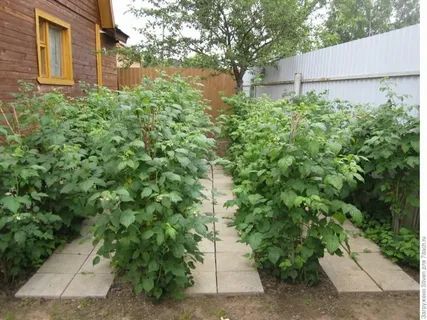 Продажа участка, Ивановская,  37:05:010328:402