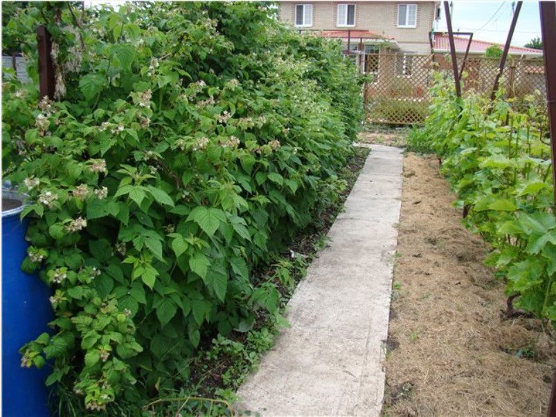 Продажа участка, Ивановская,  37:05:010328:402