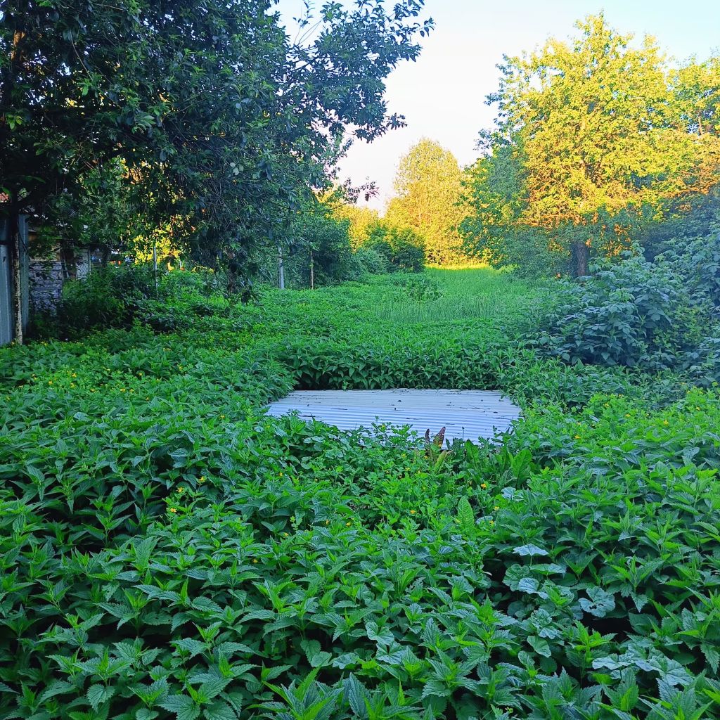 Продажа дома, 164м <sup>2</sup>, 10 сот., Ардатов, Зуева,  43/1