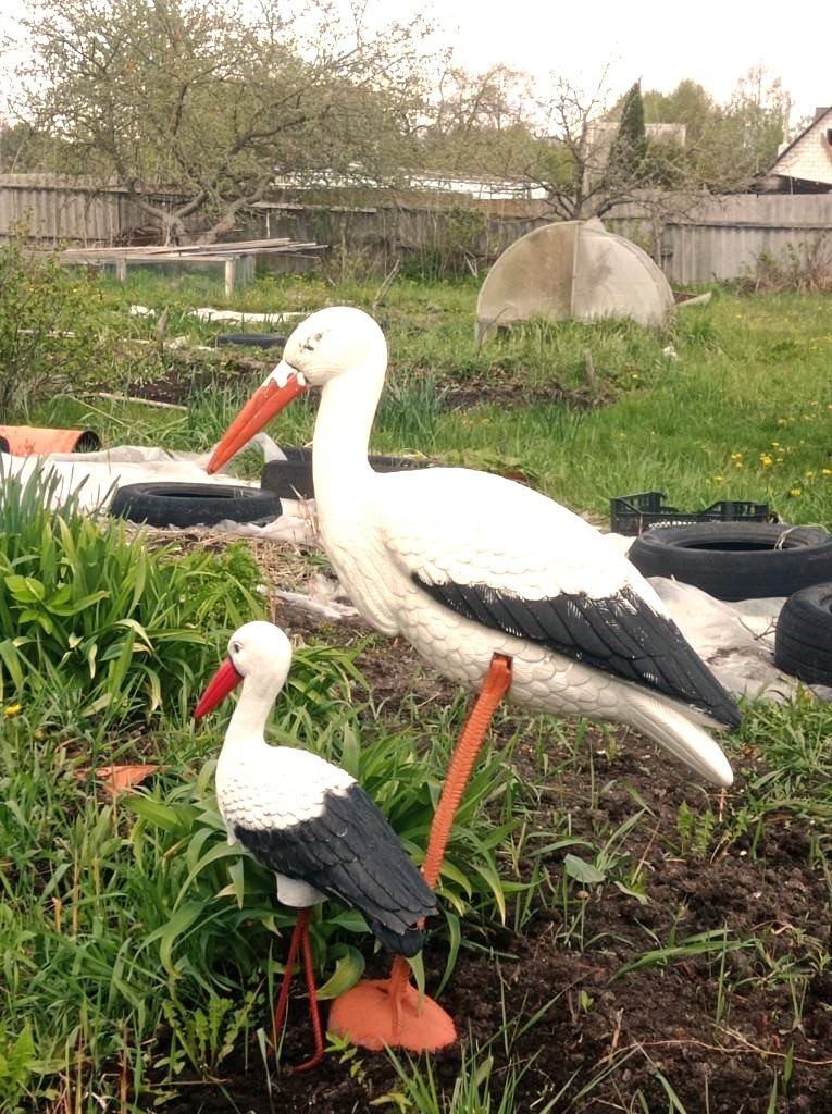 Предложение: участок