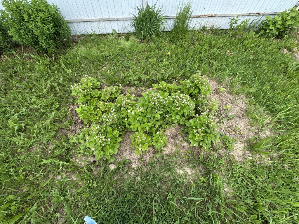 Продажа участка, Гридино