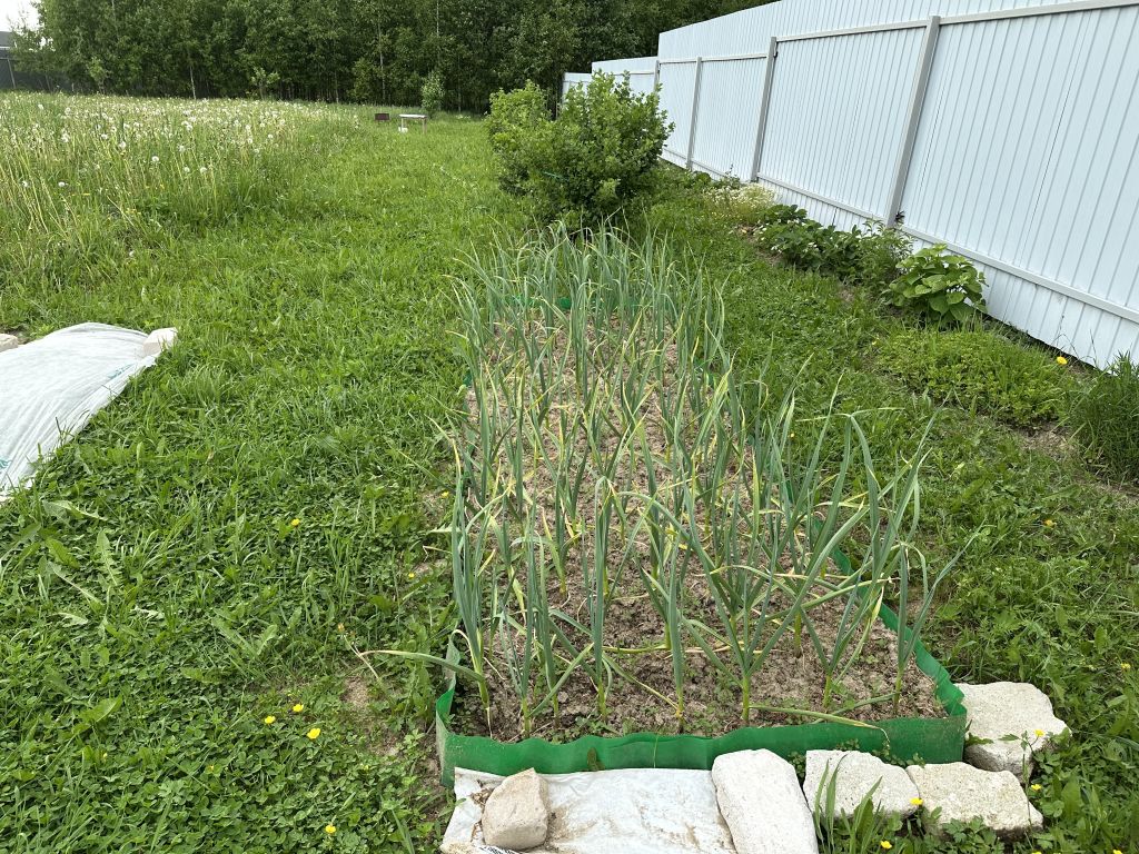 Продажа участка, Гридино