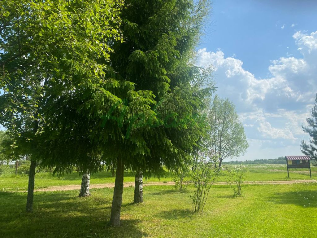 Продажа участка, Новинки